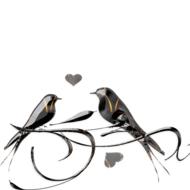black gothic birds style
