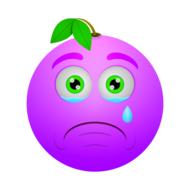 smiley berry sad crying