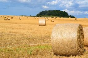landscape of Straw Hay Bales