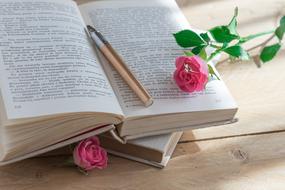 Book Pen Rose Old