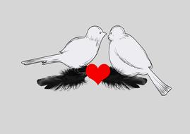 Beautiful, white birds on the black feathers with red heart, clipart