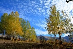 Landscape of Kackars mountains Nature