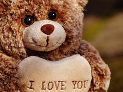 teddy bear with heart on blurred background