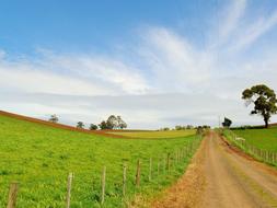 landscape of Travel Wanderlust Road