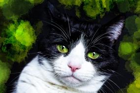 black and white cat with green eyes on the background of a plant