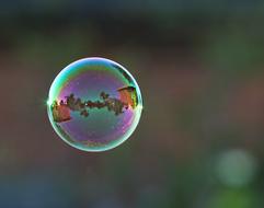 picturesque nature is reflected in a soap bubble