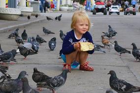 Kids Baby and pigeons