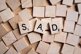 Sad Emotion Word