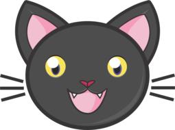 black cat cute kitty adorable