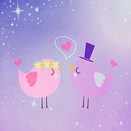 bird background love pair lovers