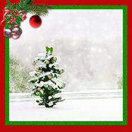 Beautiful and colorful Christmas landscape with the plants in snow, in the Christmas frame