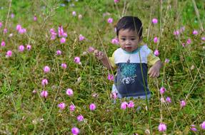 Child Asian Cute