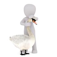 fax white male 3d model isolated