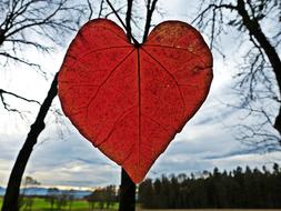 Leaf Heart Red