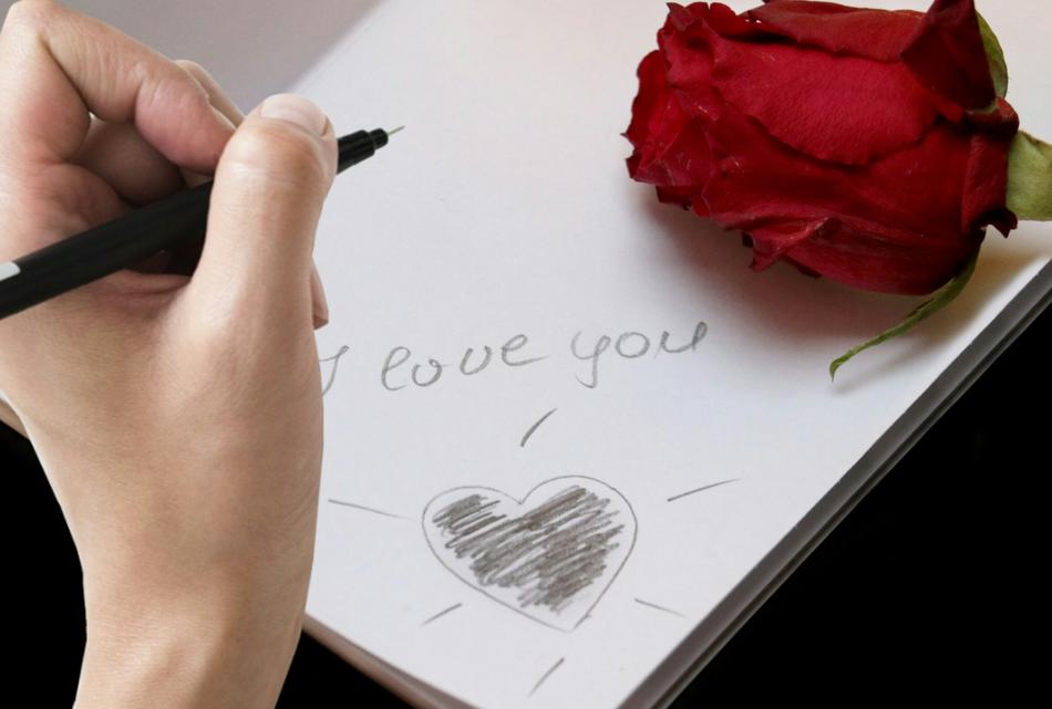 declaration of love and red rose