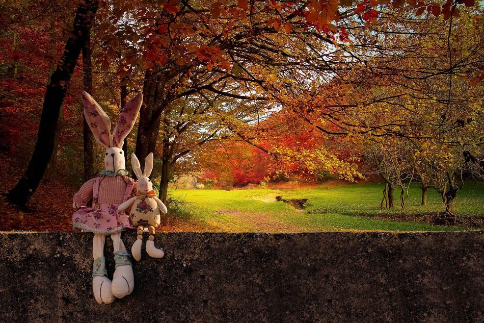 Cute, colorful and beautiful rabbits, sitting on the wall, at colorful and beautiful trees and field on background, in autumn