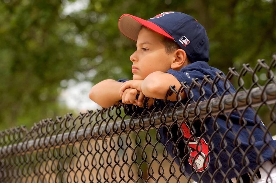 Baseball ball Fence