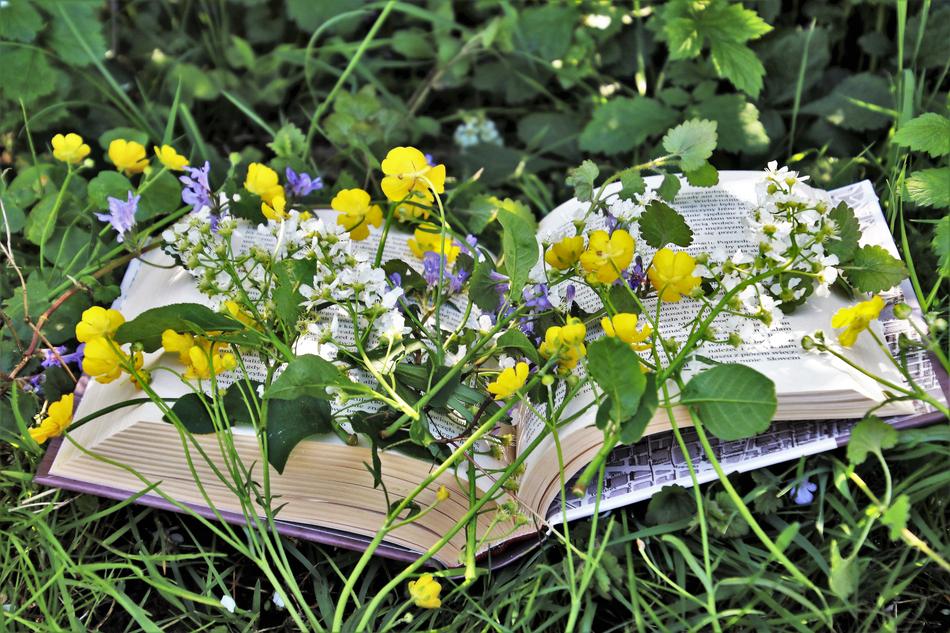 book and yellow blue flowers