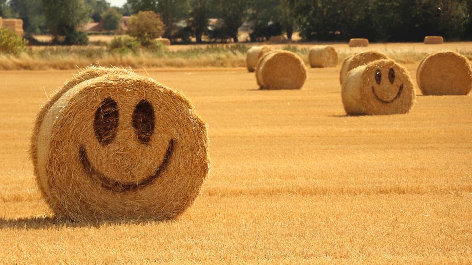 Straw Halmballe face smile