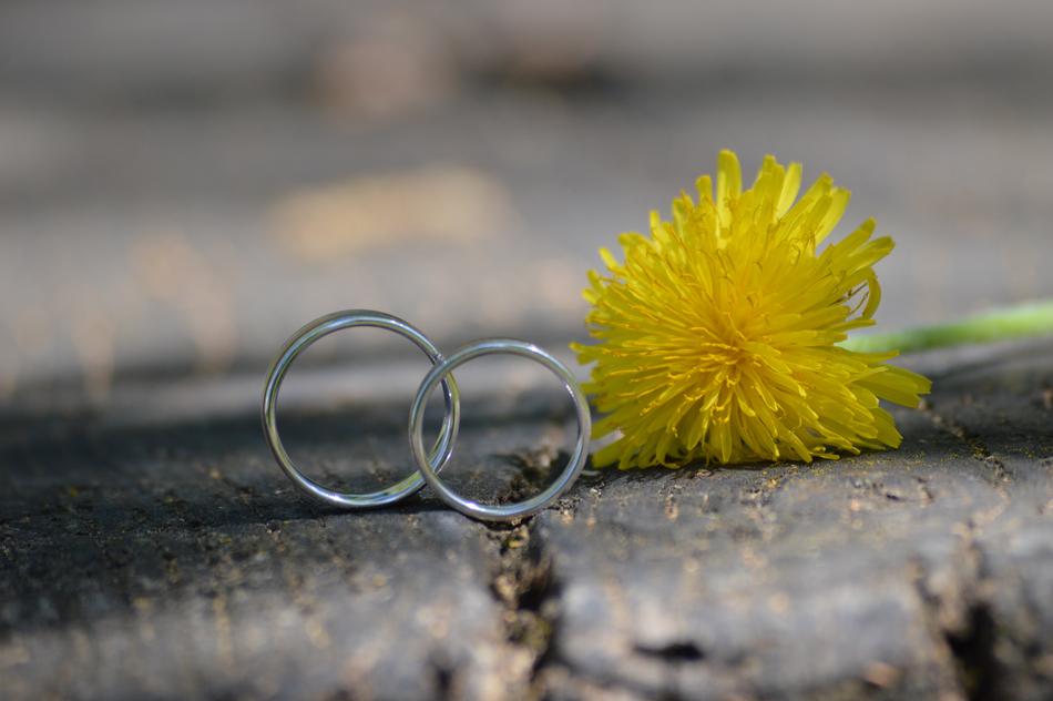 Wedding Ring and yellow flower