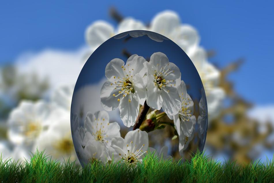 Beautiful, white flowers on the beautiful Easter egg, on the green grass