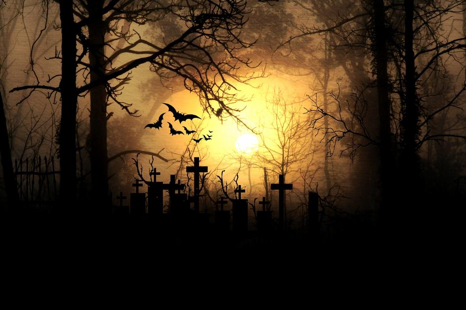 Moonlight over cemetery in forest, Horror drawing