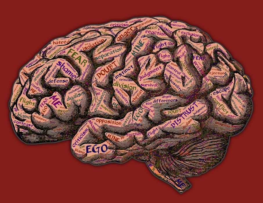 human brain with inscriptions on a burgundy background