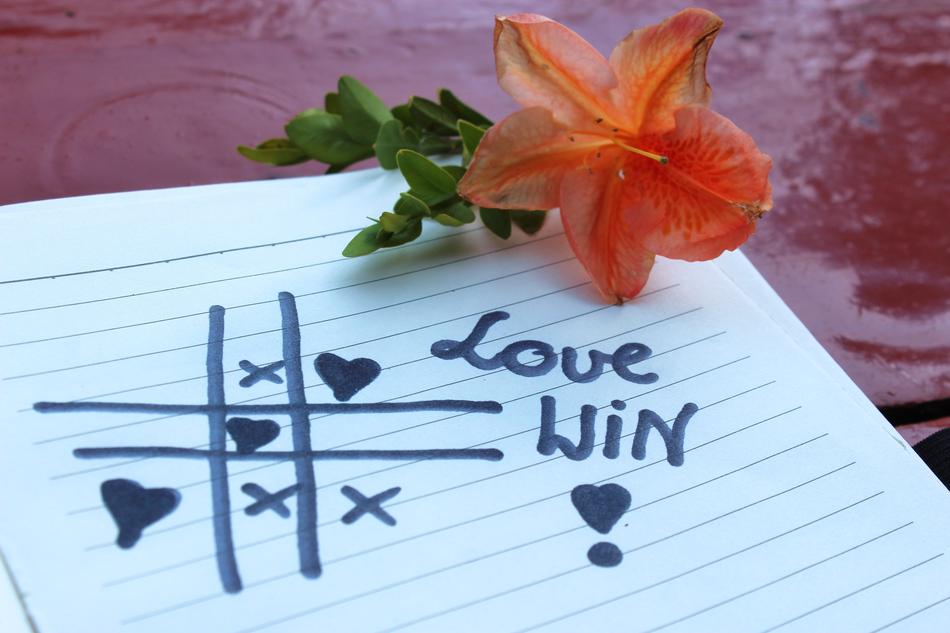 orange flower over the inscription love