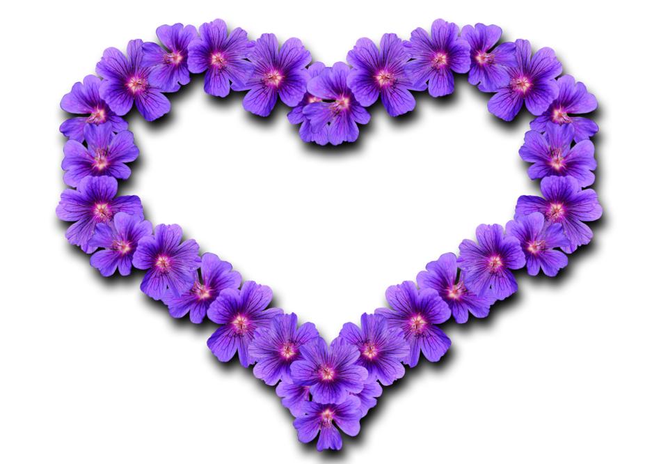 drawing of purple heart flowers design