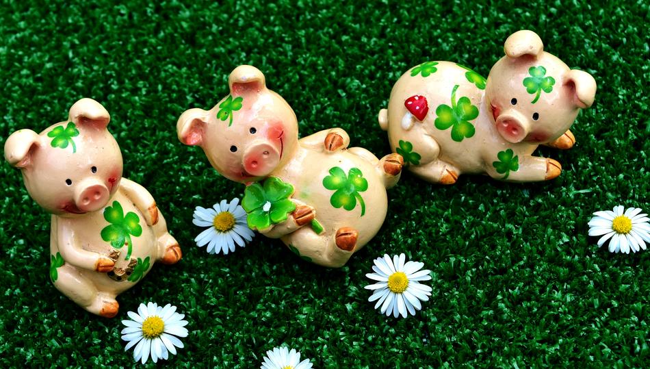Figures of the colorful and beautiful, cute lucky pigs with the shamrocks, on the green field with white and yellow flowers