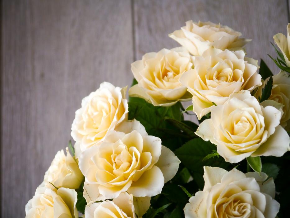 Bouquet Of Roses flowers