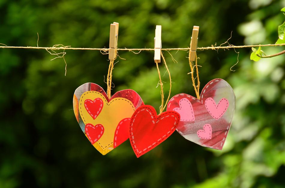Beautiful and colorful hearts, suspended on the cord, near the green plants