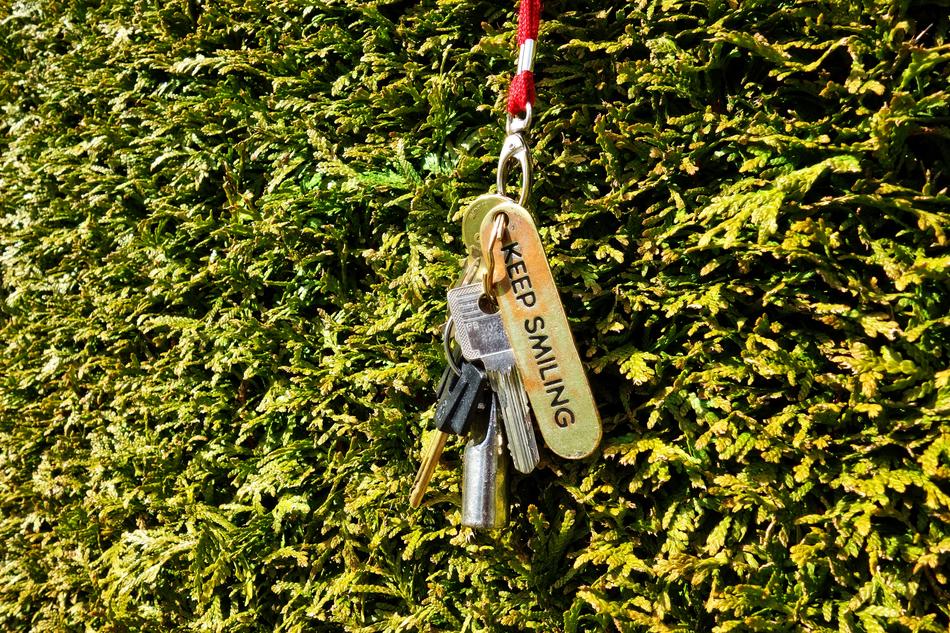 keys on a hedge close-up