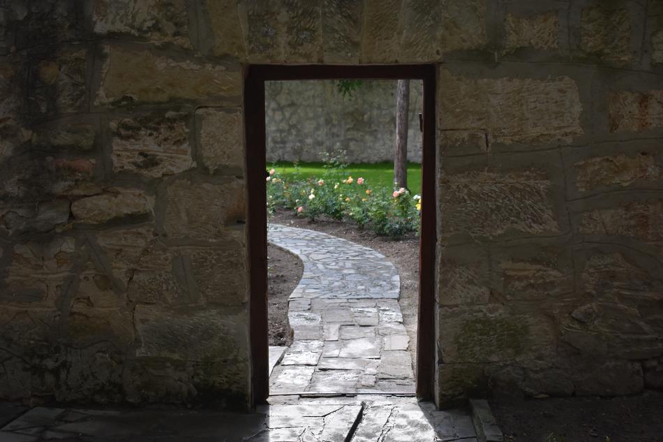 Door of the house, with the beautiful garden view, with colorful flowers