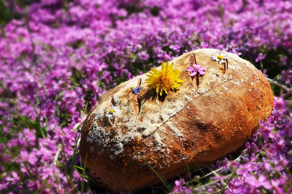 Close-up of the bread in the beautiful, purple and yellow flowers