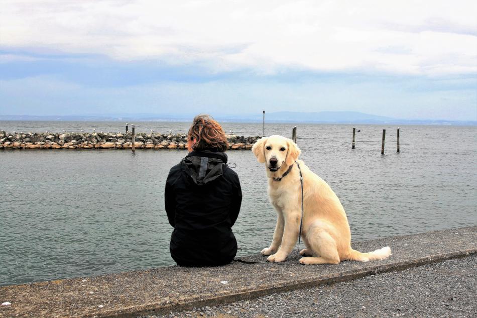woman with dog near water on cloudy day
