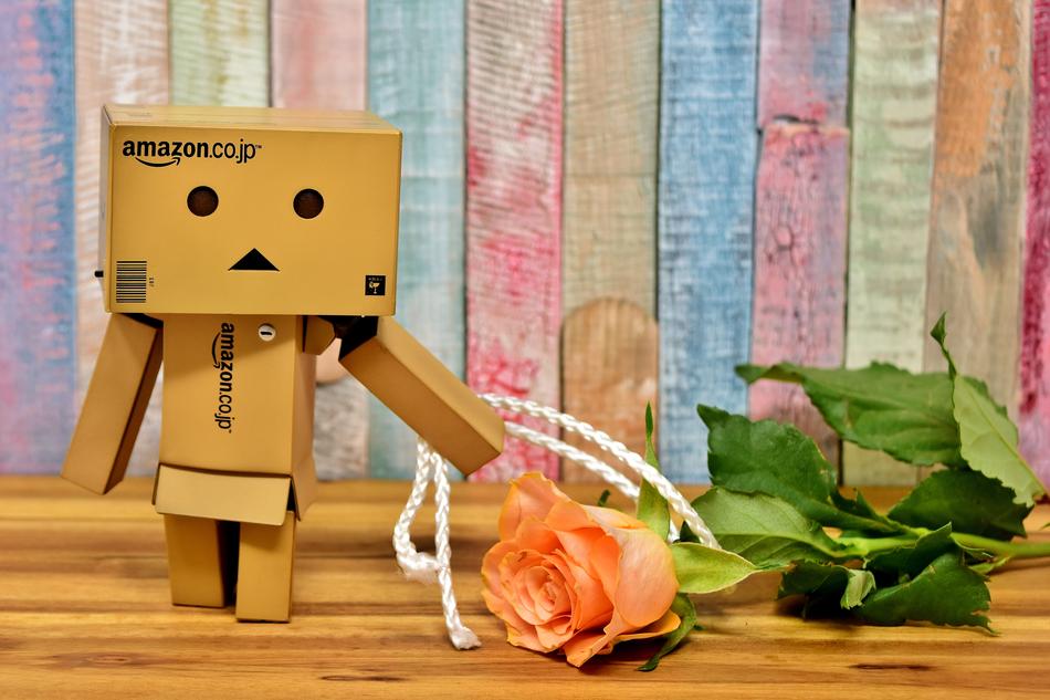 danbo and tea rose on the background of colorful boards