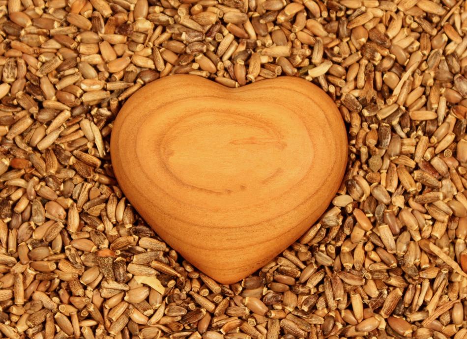 Heart Tree and Seeds