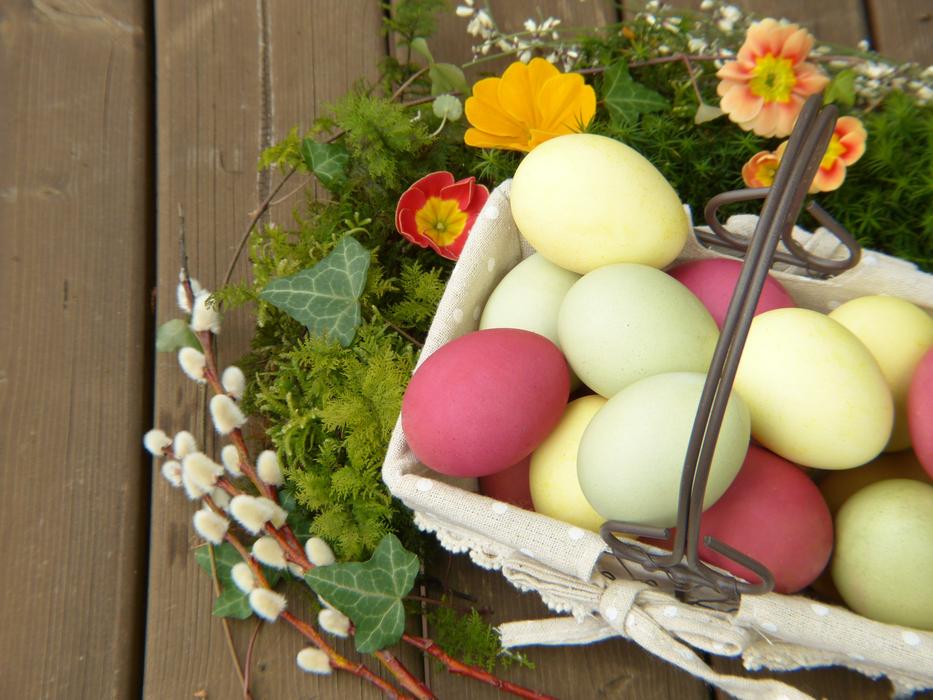 flowers and Easter Eggs in basket