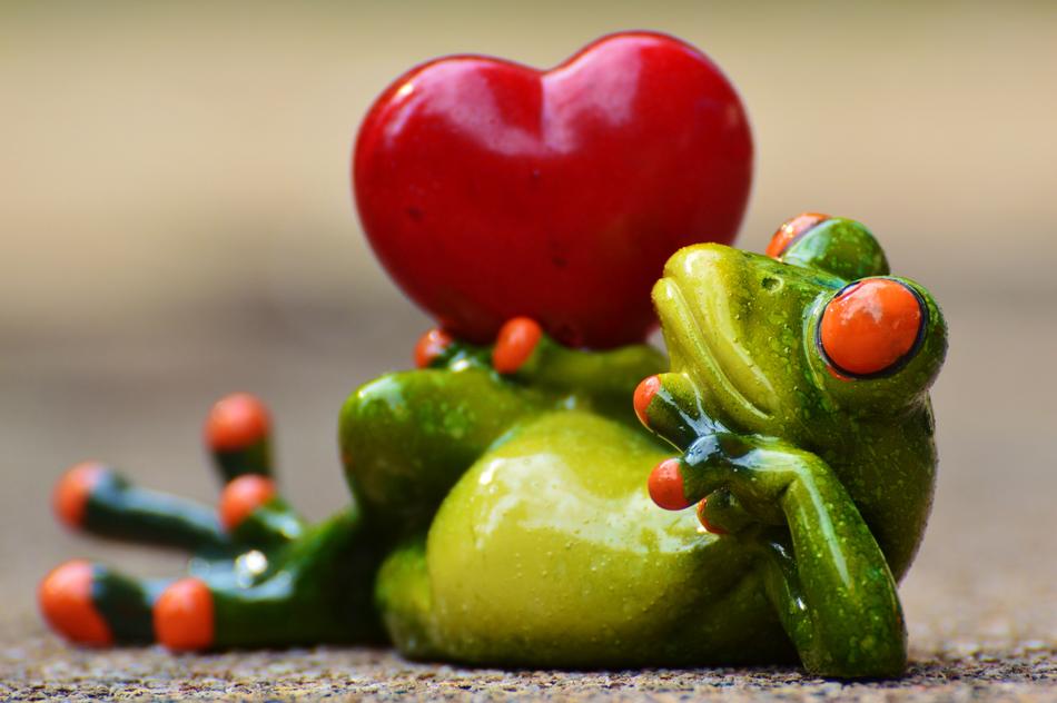 Cute and beautiful, yellow, green and orange frog with the shiny, red heart, on the Valentine's Day