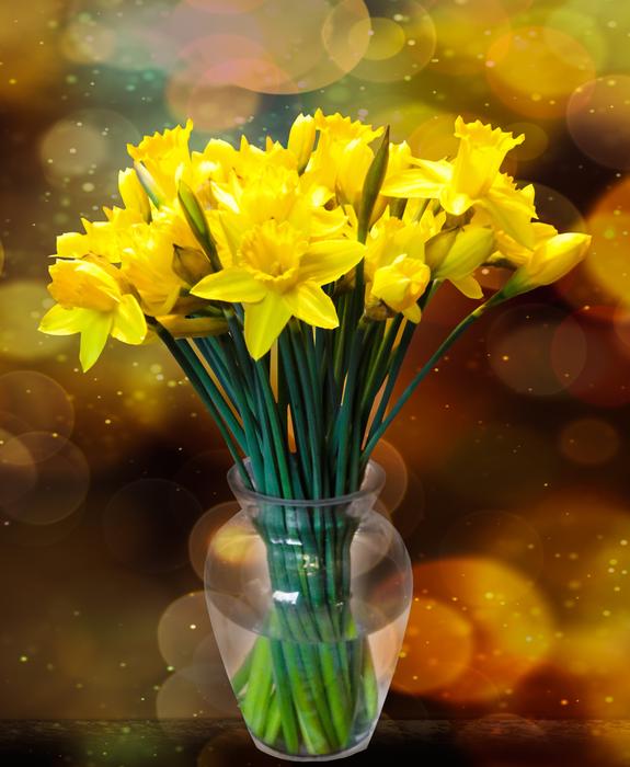 Bouquet of the beautiful, white flowers in the glass vase with water