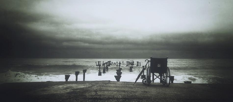 Nature Beach Shore black and white