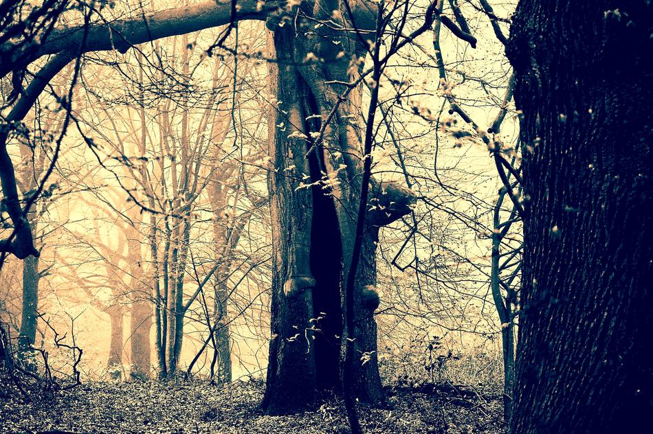 Weird Ghostly Gespenstig