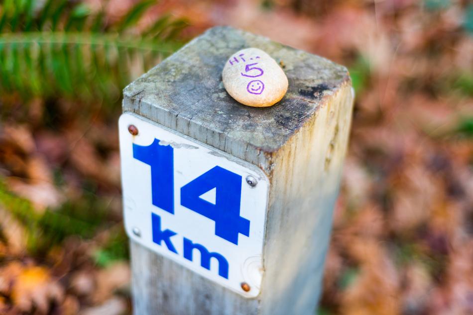 Close-up of the pole with blue and white '14 km' sign on the pole with stone with 'hi 5' sign, above the colorful plants