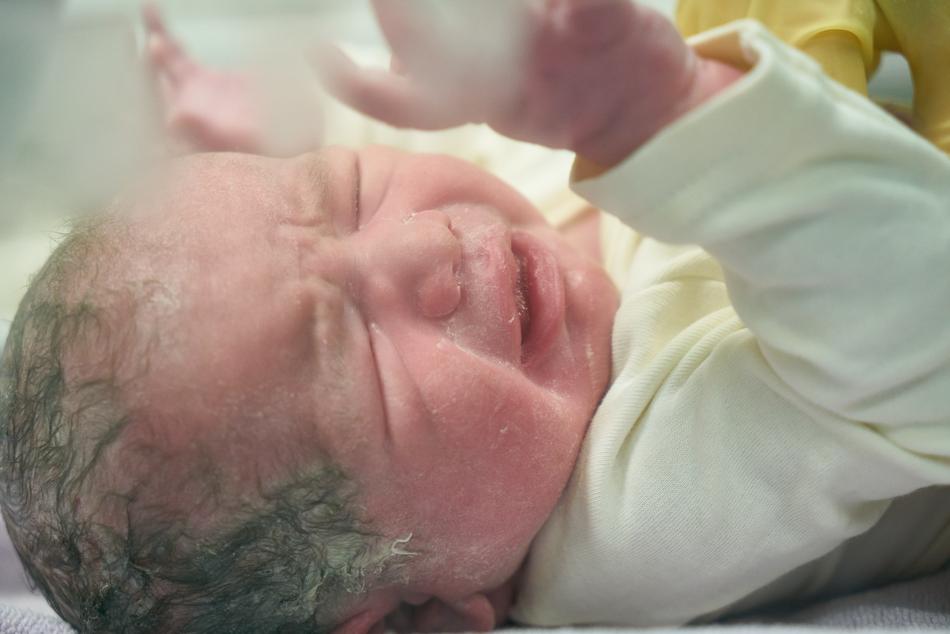 Portrait of the newborn baby, laying