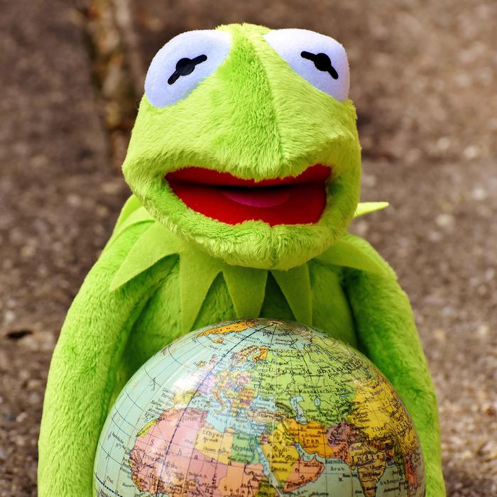 Happy Kermit Embrace The World