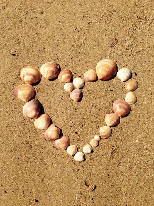 Heart Love Shell