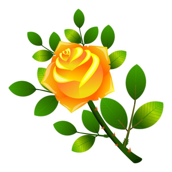 image of yellow roses with leaves