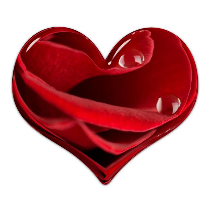 red Valentine Heart Flower