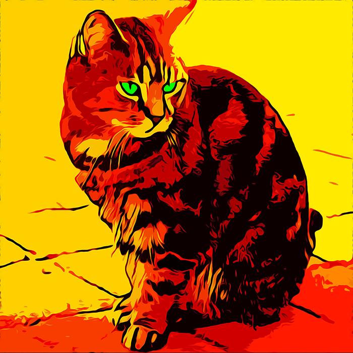 the image of a cat in bright colors